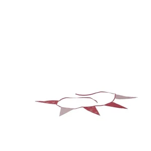Hoppekids Pennant - PRINCESS